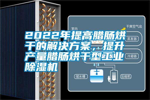 2022年提高臘腸烘干的解決方案，提升產(chǎn)量臘腸烘干型工業(yè)除濕機