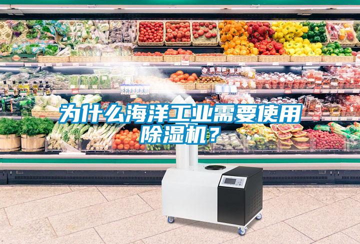 為什么海洋工業(yè)需要使用除濕機？