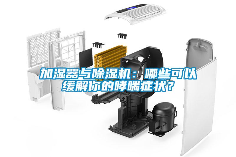 加濕器與除濕機(jī)：哪些可以緩解你的哮喘癥狀？