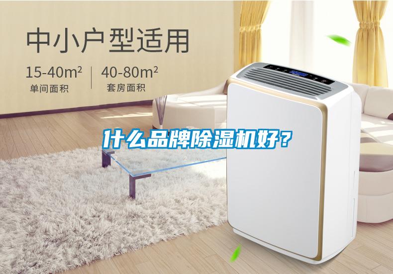 什么品牌除濕機(jī)好？