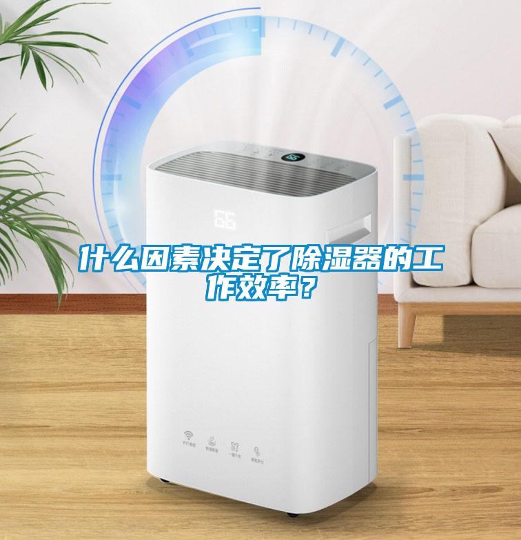 什么因素決定了除濕器的工作效率？