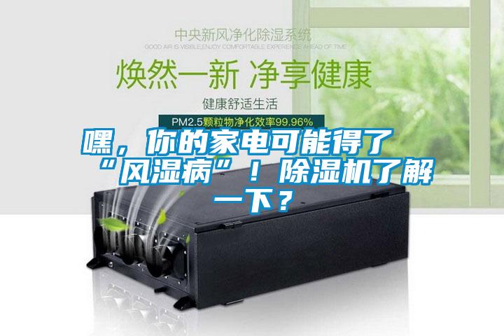 嘿，你的家電可能得了“風(fēng)濕病”！除濕機(jī)了解一下？