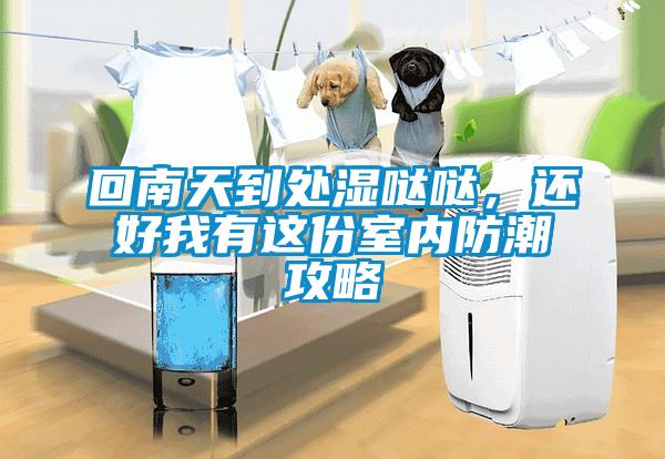 回南天到處濕噠噠，還好我有這份室內(nèi)防潮攻略