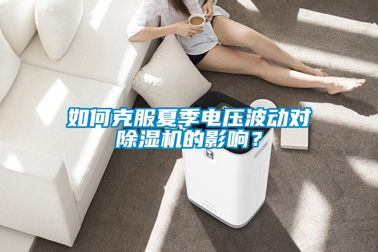 如何克服夏季電壓波動對除濕機的影響？