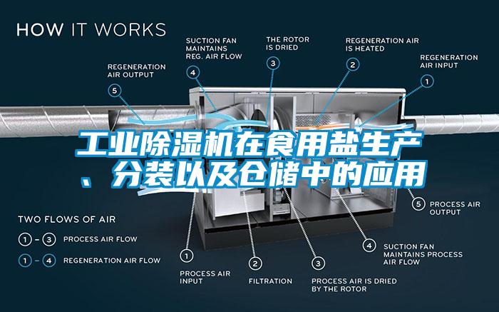 工業(yè)除濕機(jī)在食用鹽生產(chǎn)、分裝以及倉(cāng)儲(chǔ)中的應(yīng)用