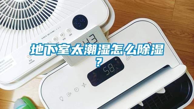 地下室太潮濕怎么除濕？