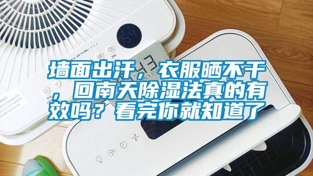 墻面出汗，衣服曬不干，回南天除濕法真的有效嗎？看完你就知道了