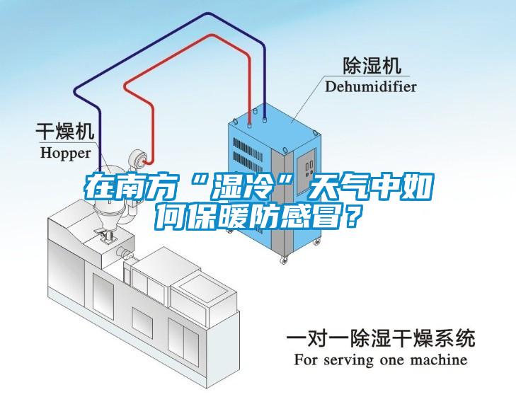 在南方“濕冷”天氣中如何保暖防感冒？