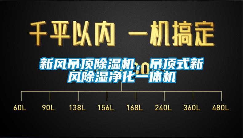 新風吊頂除濕機，吊頂式新風除濕凈化一體機