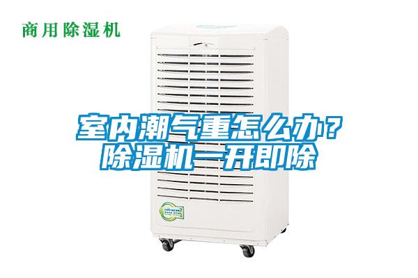 室內(nèi)潮氣重怎么辦？除濕機一開即除