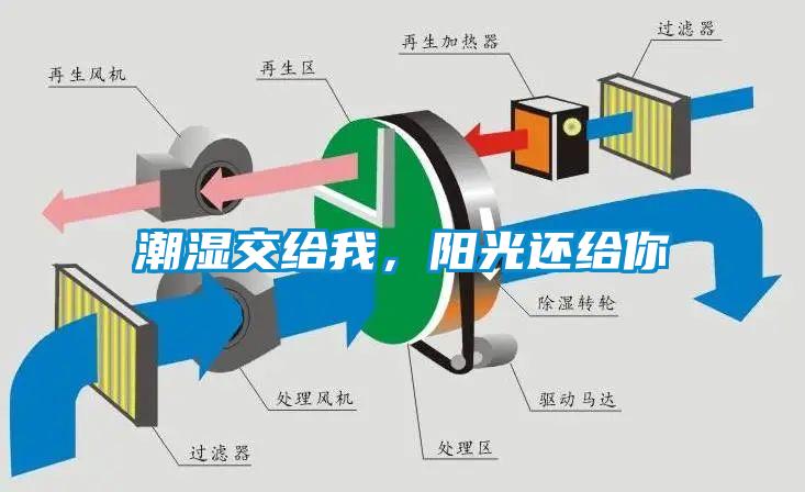 潮濕傷于無形，除濕機(jī)來防范