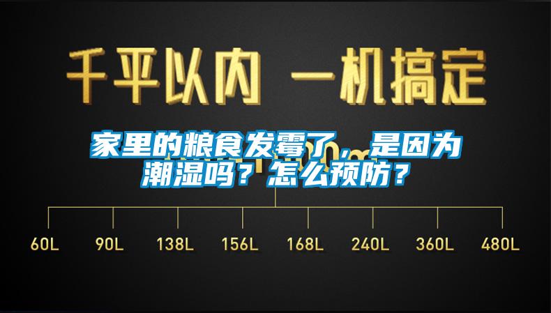 家里的糧食發(fā)霉了，是因?yàn)槌睗駟?？怎么預(yù)防？