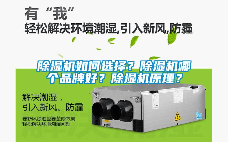 除濕機如何選擇？除濕機哪個品牌好？除濕機原理？