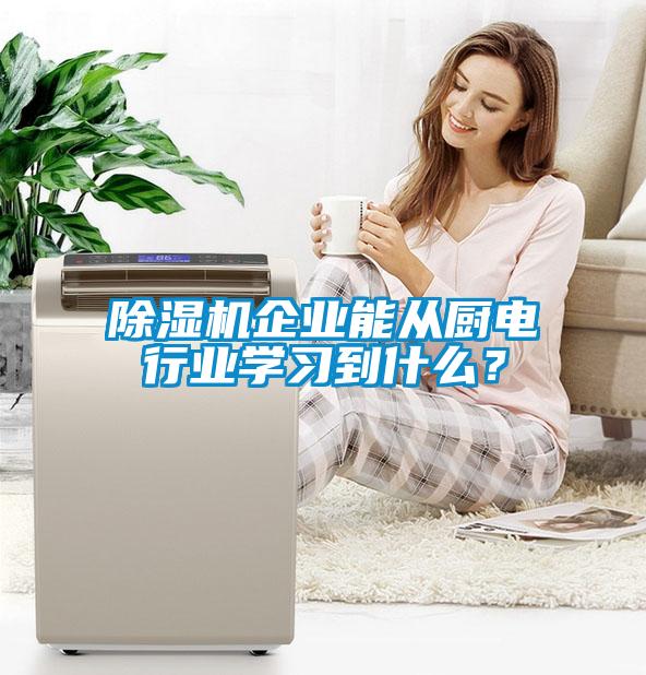 除濕機(jī)企業(yè)能從廚電行業(yè)學(xué)習(xí)到什么？