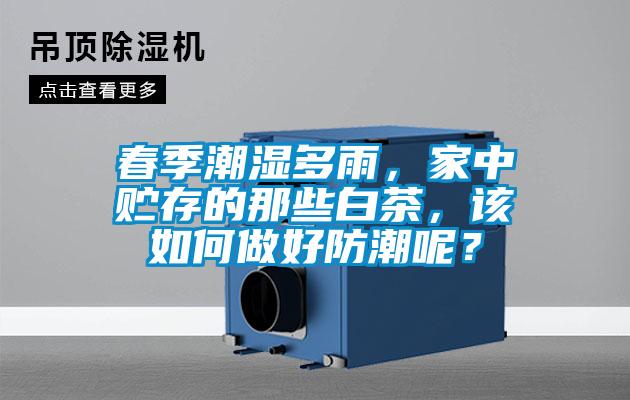 春季潮濕多雨，家中貯存的那些白茶，該如何做好防潮呢？