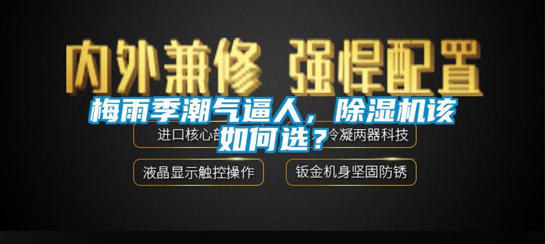 梅雨季潮氣逼人，除濕機(jī)該如何選？