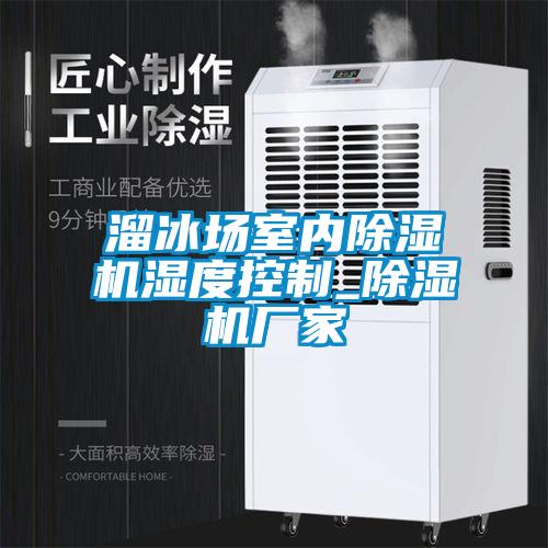 溜冰場室內(nèi)除濕機(jī)濕度控制_除濕機(jī)廠家