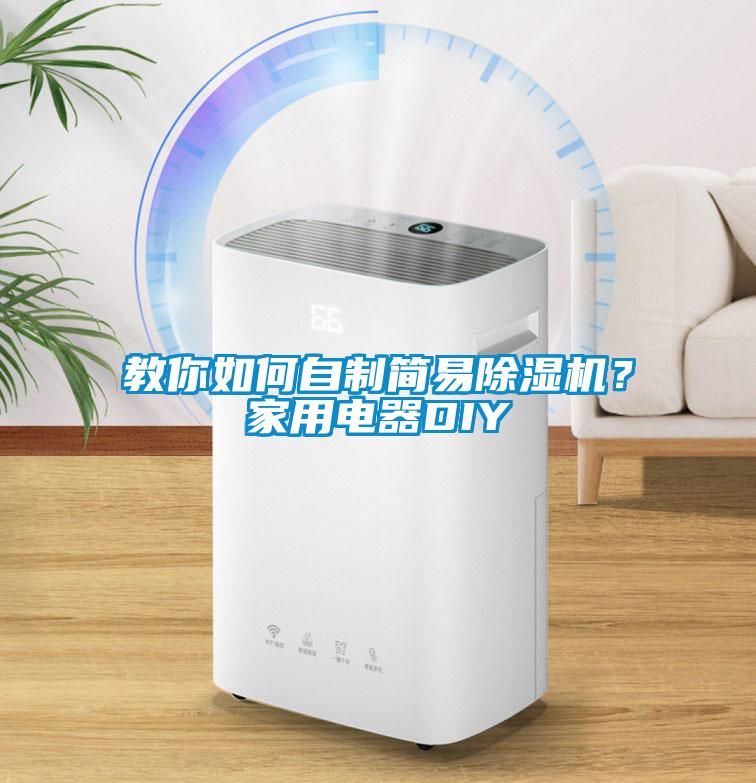 教你如何自制簡易除濕機？家用電器DIY