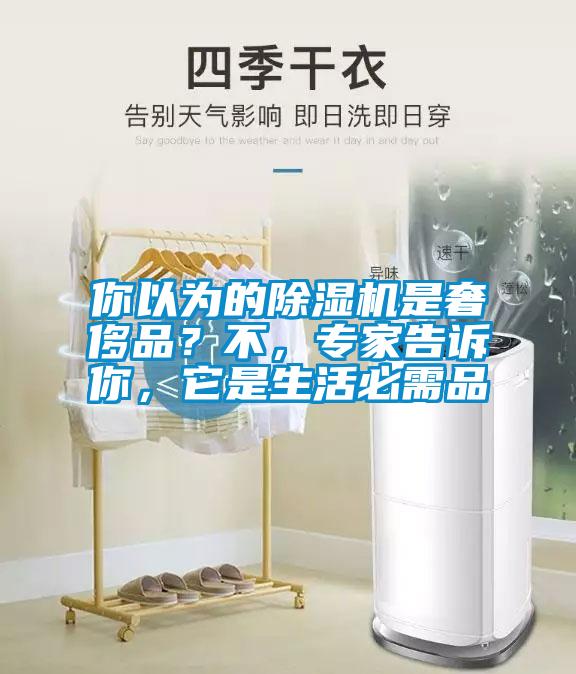 你以為的除濕機(jī)是奢侈品？不，專家告訴你，它是生活必需品