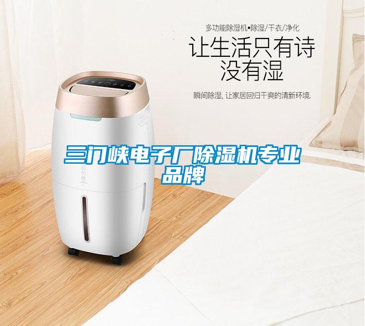 三門峽電子廠除濕機專業(yè)品牌