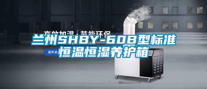 蘭州SHBY-60B型標準恒溫恒濕養(yǎng)護箱