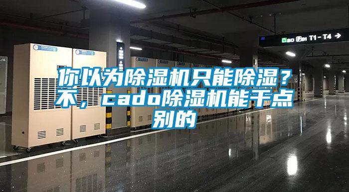 你以為除濕機(jī)只能除濕？不，cado除濕機(jī)能干點別的