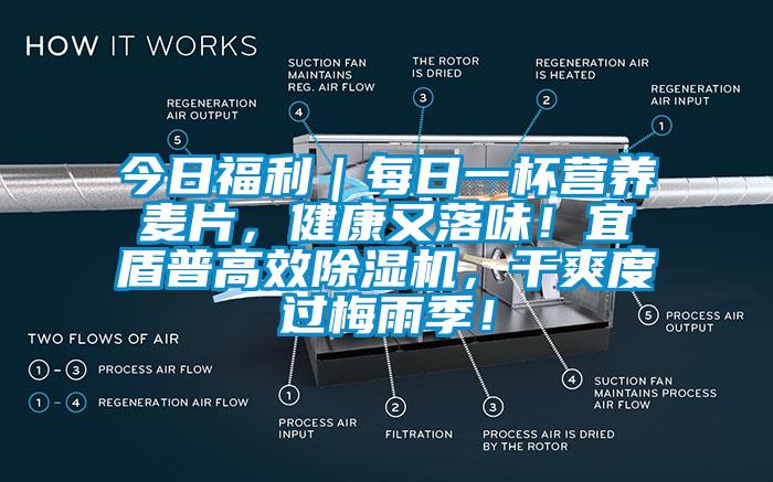 今日福利｜每日一杯營養(yǎng)麥片，健康又落味！宜盾普高效除濕機，干爽度過梅雨季！