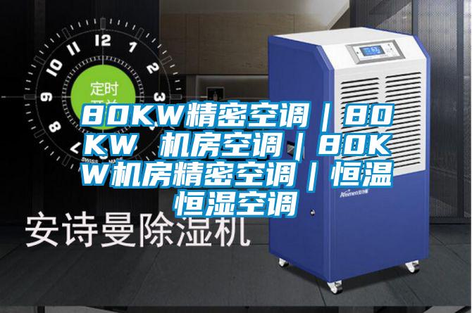 80KW精密空調(diào)｜80KW 機(jī)房空調(diào)｜80KW機(jī)房精密空調(diào)｜恒溫恒濕空調(diào)