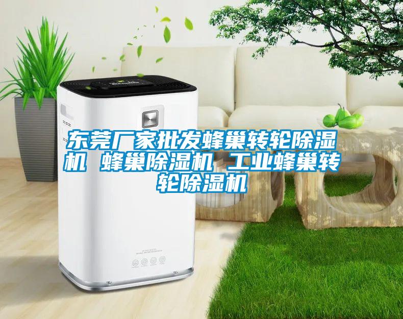 東莞廠家批發(fā)蜂巢轉(zhuǎn)輪除濕機 蜂巢除濕機 工業(yè)蜂巢轉(zhuǎn)輪除濕機