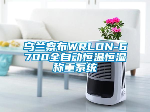 烏蘭察布WRLDN-6700全自動(dòng)恒溫恒濕稱重系統(tǒng)