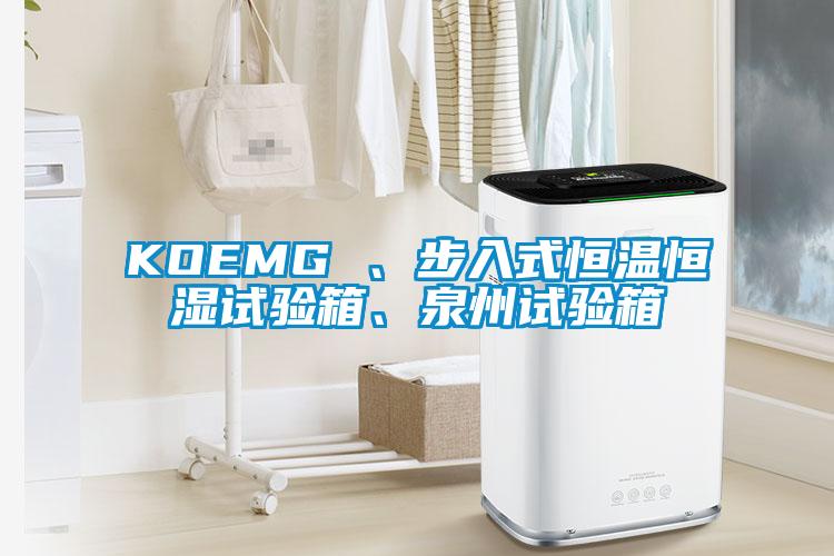 KOEMG 、步入式恒溫恒濕試驗(yàn)箱、泉州試驗(yàn)箱