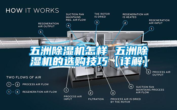 五洲除濕機怎樣 五洲除濕機的選購技巧【詳解】