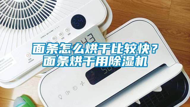 面條怎么烘干比較快？面條烘干用除濕機(jī)