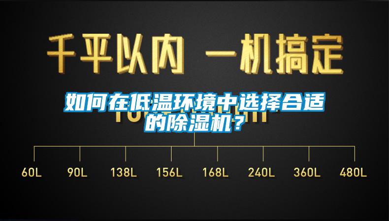 如何在低溫環(huán)境中選擇合適的除濕機(jī)？