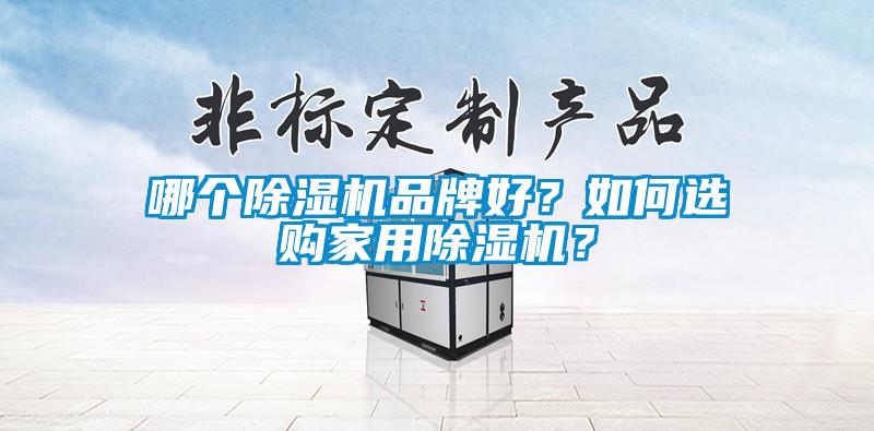 哪個除濕機品牌好？如何選購家用除濕機？