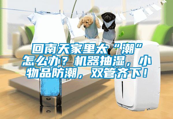 回南天家里太“潮”怎么辦？機器抽濕，小物品防潮，雙管齊下！