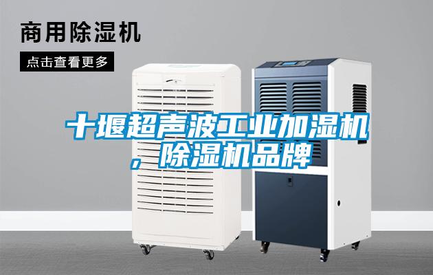 十堰超聲波工業(yè)加濕機(jī)，除濕機(jī)品牌