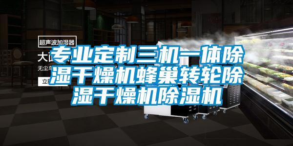 專業(yè)定制三機一體除濕干燥機蜂巢轉輪除濕干燥機除濕機