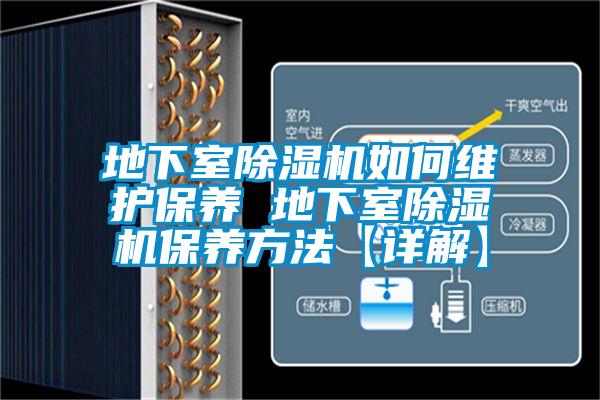 地下室除濕機如何維護保養(yǎng) 地下室除濕機保養(yǎng)方法【詳解】