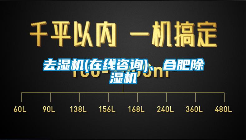 去濕機(jī)(在線咨詢)、合肥除濕機(jī)