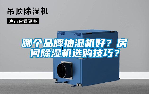 哪個品牌抽濕機好？房間除濕機選購技巧？