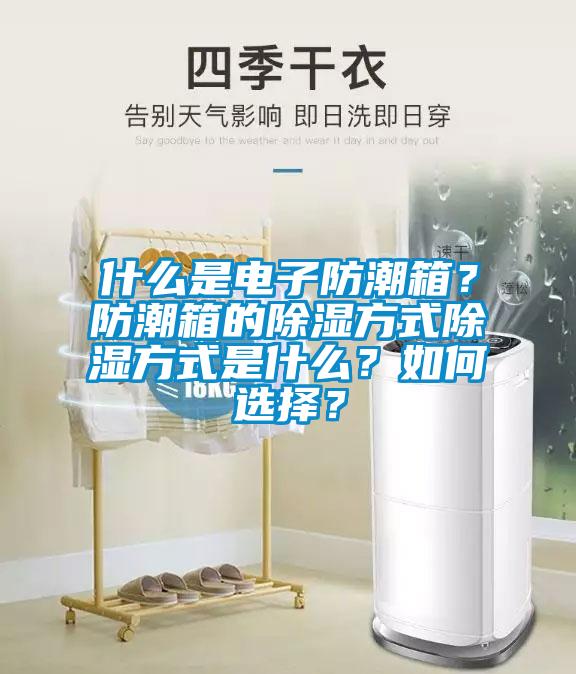 什么是電子防潮箱？防潮箱的除濕方式除濕方式是什么？如何選擇？