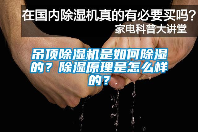 吊頂除濕機是如何除濕的？除濕原理是怎么樣的？