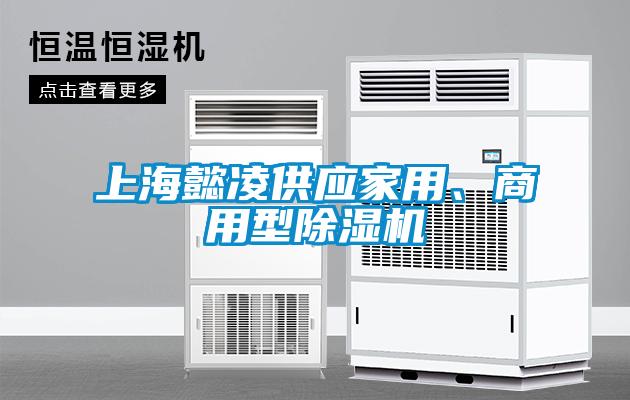 上海懿凌供應(yīng)家用、商用型除濕機