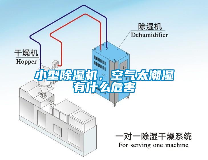 小型除濕機(jī)，空氣太潮濕有什么危害