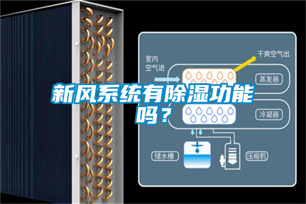 新風(fēng)系統(tǒng)有除濕功能嗎？