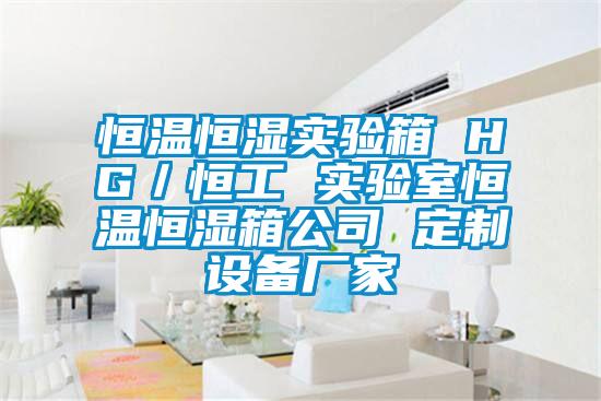 恒溫恒濕實驗箱 HG／恒工 實驗室恒溫恒濕箱公司 定制設備廠家