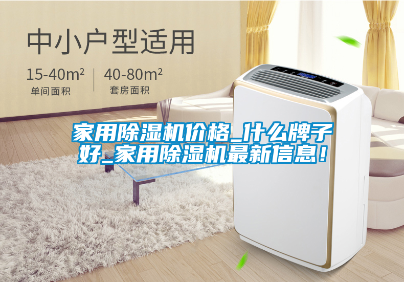 家用除濕機(jī)價(jià)格_什么牌子好_家用除濕機(jī)最新信息！