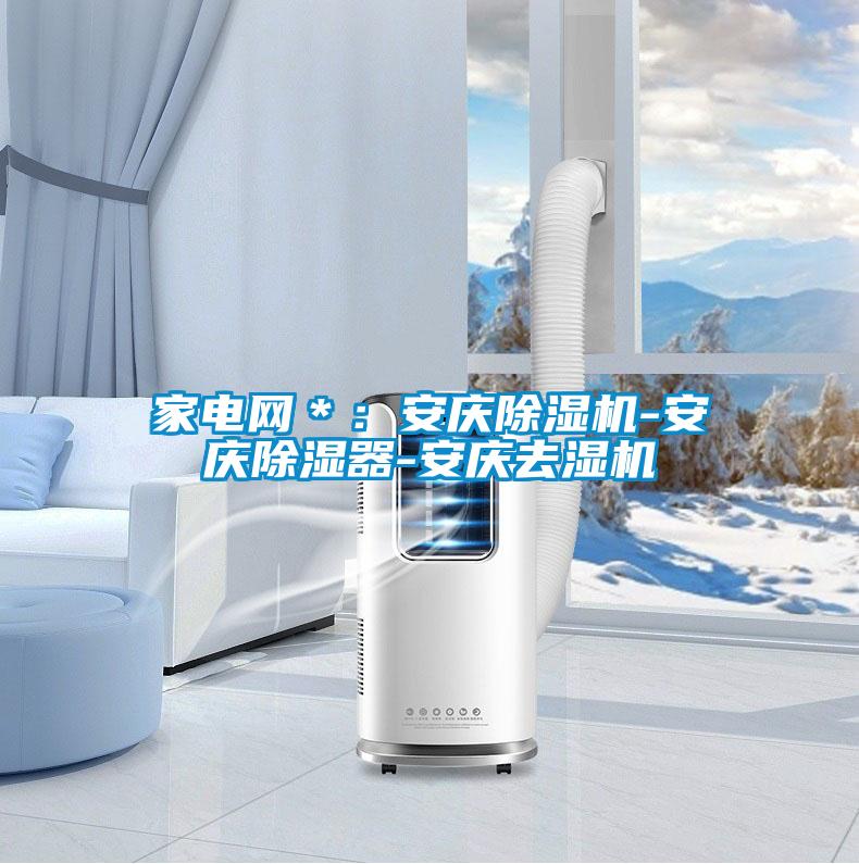 家電網(wǎng)＊：安慶除濕機(jī)-安慶除濕器-安慶去濕機(jī)