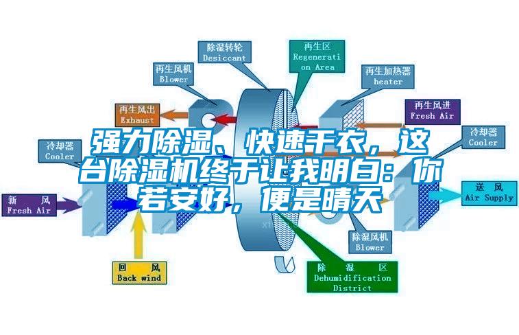 強力除濕、快速干衣，這臺除濕機終于讓我明白：你若安好，便是晴天